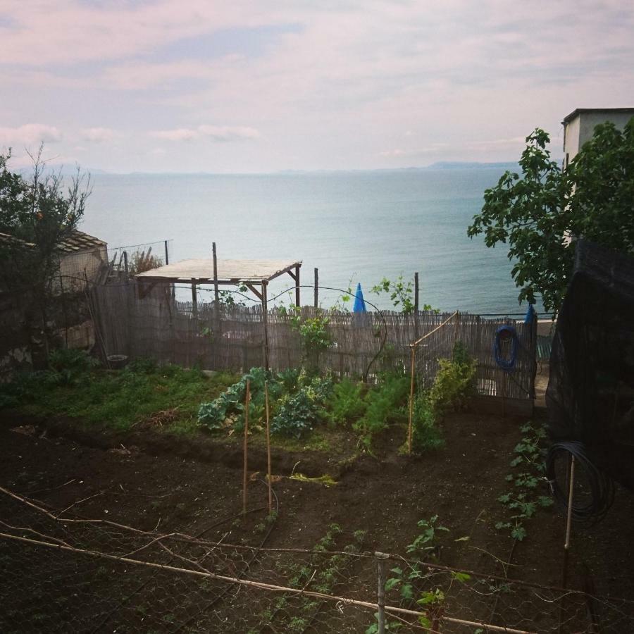 B&B Relax Meta Εξωτερικό φωτογραφία
